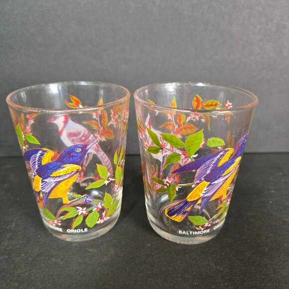Set (2) Bird Juice Glass Small Tumbler Arcoroc France Blue Jay Baltimore Oriole - Picture 5 of 11